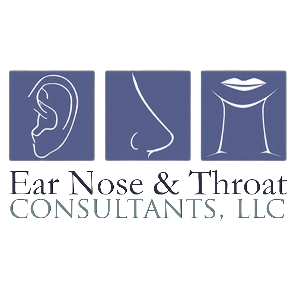 Logo for Ear Nose & Throat Consultants, LLC, featuring blue square icons of an ear, a nose, and a mouth with throat above the company name in blue and green text.